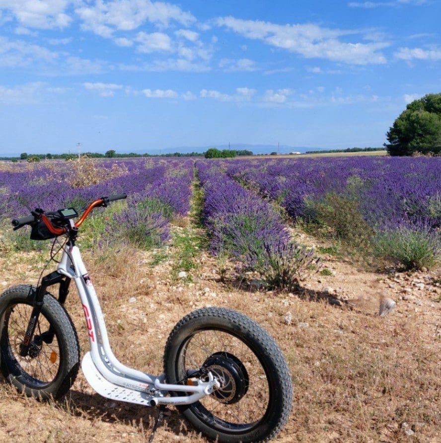 All-terrain electric scooter - Stroll around the Lavenders
